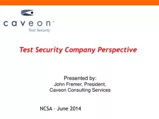 Test Security Company Perspective
