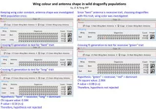 Wing colour and antenna shape in wild dragonfly populations Su, LT &amp; Yong AYP