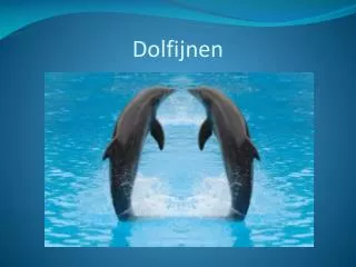 dolfijnen