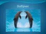 Dolfijnen - slide 1