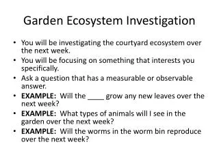 Garden Ecosystem Investigation