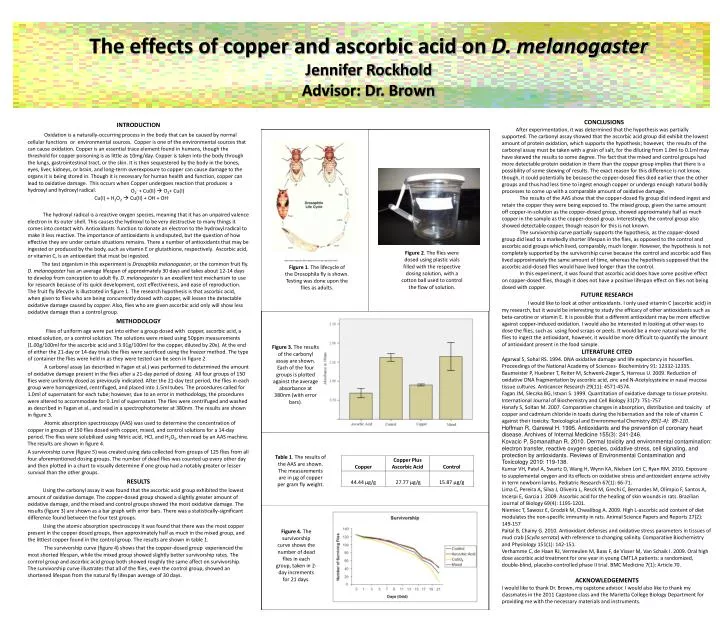 the effects of copper and ascorbic acid on d melanogaster jennifer rockhold advisor dr brown