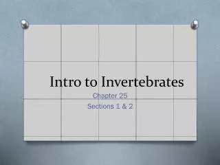 Intro to Invertebrates