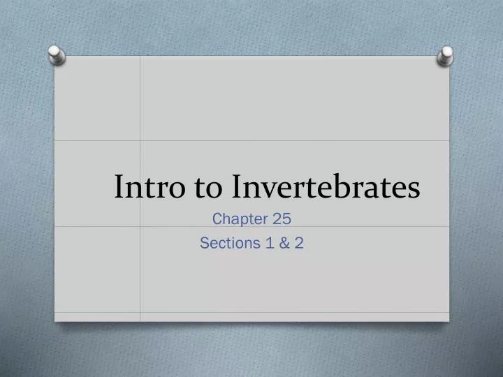 intro to invertebrates
