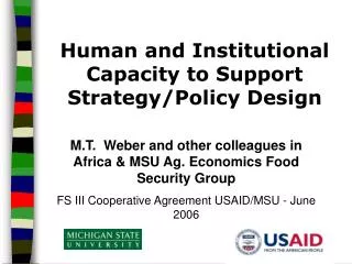 Human and Institutional Capacity to Support Strategy/Policy Design