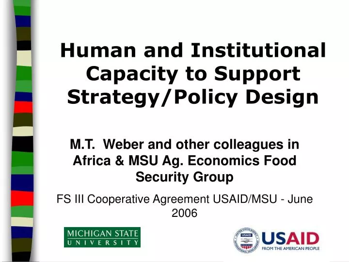human and institutional capacity to support strategy policy design