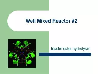 Well Mixed Reactor #2