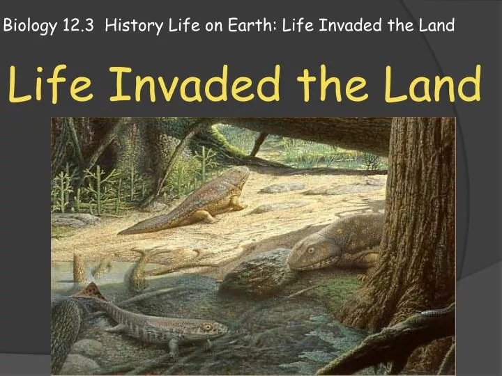 biology 12 3 history life on earth life invaded the land