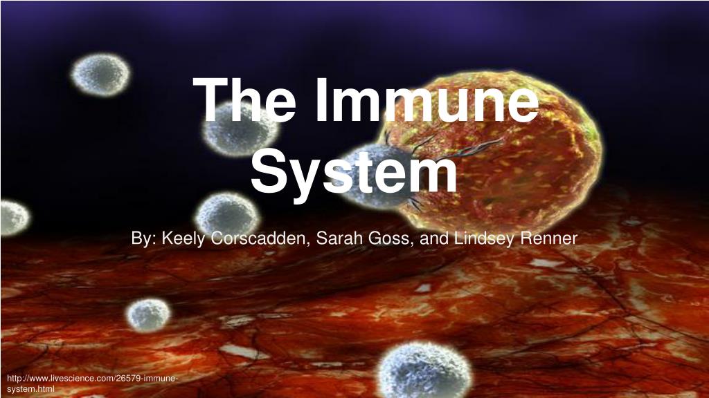 PPT - The Immune System PowerPoint Presentation, free download - ID:2733693