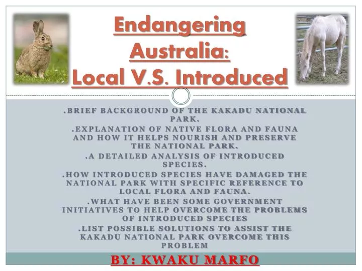 endangering australia local v s introduced