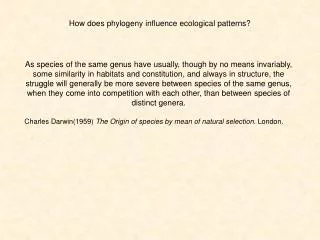 How does phylogeny influence ecological patterns?