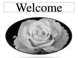 Welcome