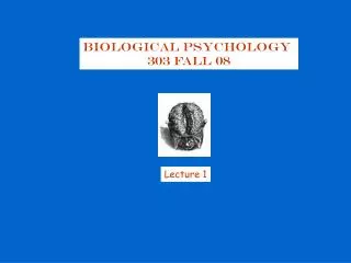 Biological Psychology 303 Fall 08