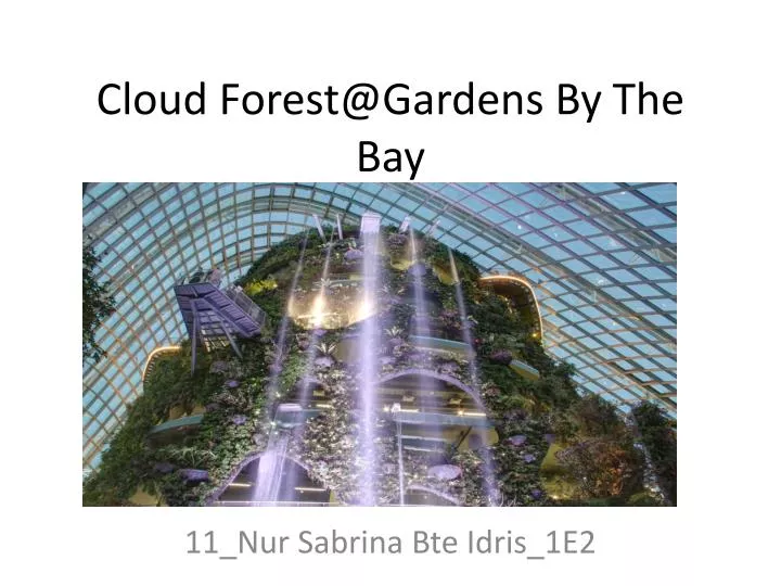 cloud forest@gardens by the bay