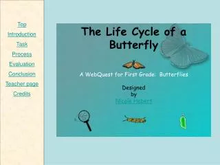 The Life Cycle of a Butterfly A WebQuest for First Grade: Butterflies Designed by Nicole Hebert