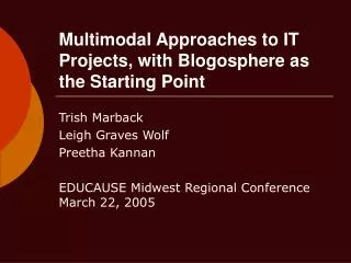 Multimodal Approaches to IT Projects, with Blogosphere as the Starting Point