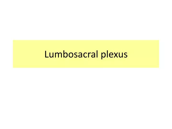 lumbosacral plexus
