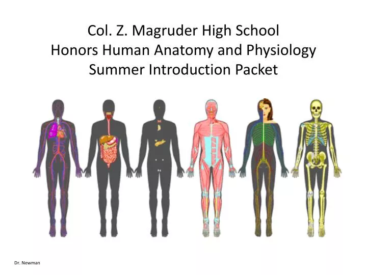 col z magruder high school honors human anatomy and physiology summer introduction packet