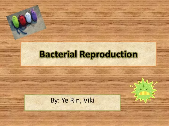 bacterial reproduction