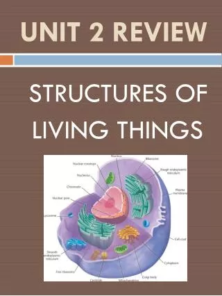 unit 2 review