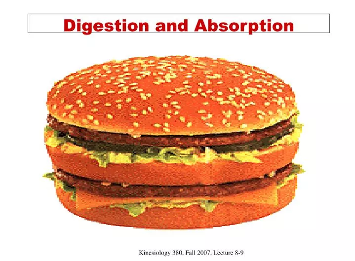 digestion and absorption