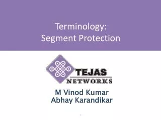 Terminology: Segment Protection