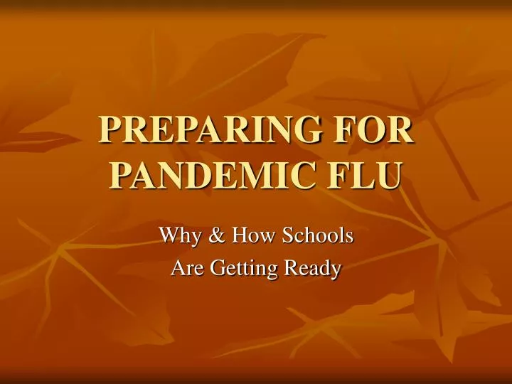 preparing for pandemic flu