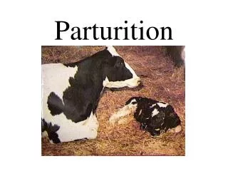 Parturition