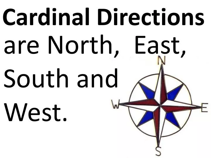 Compass Rose Four Cardinal Directions North East South West White