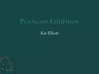 Practicum Exhibition