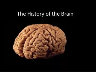 The History of the Brain