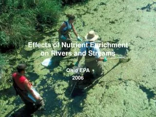 Effects of Nutrient Enrichment on Rivers and Streams