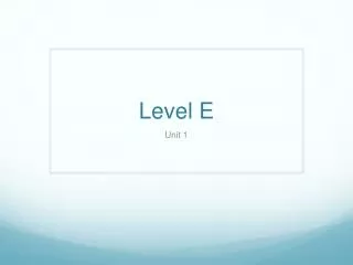 Level E