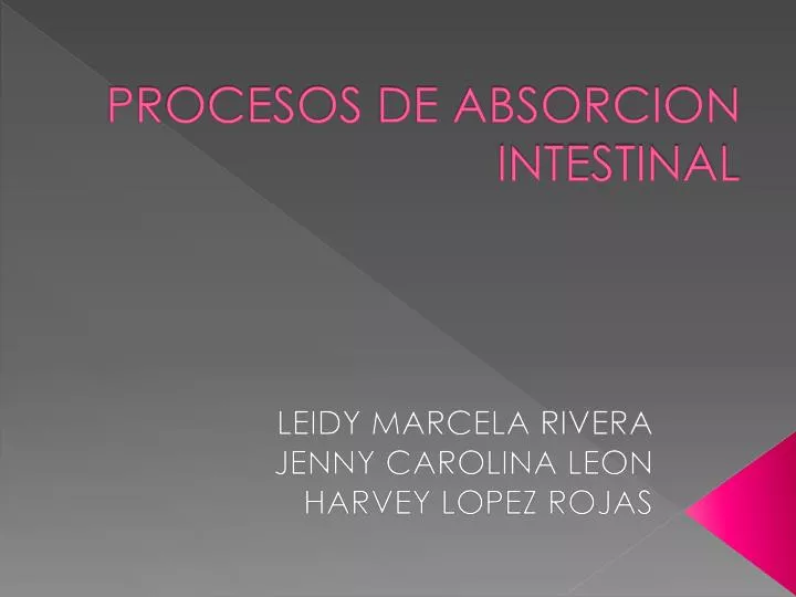 procesos de absorcion intestinal