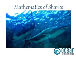 Mathematics of Sharks