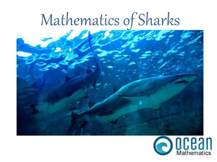mathematics of sharks