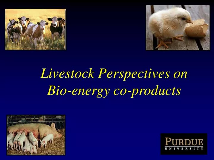 livestock perspectives on bio energy co products