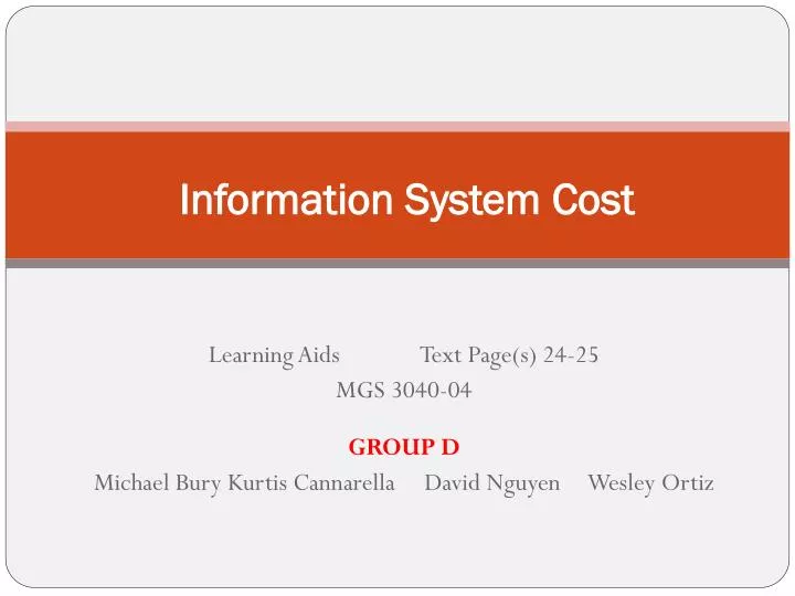 information system cost