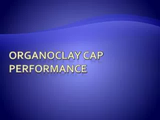 Organoclay Cap Performance