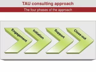 TAU consulting approach