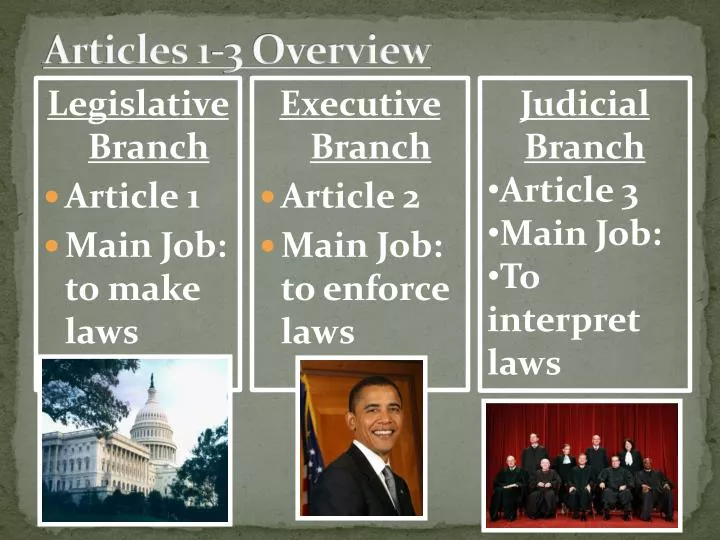 articles 1 3 overview
