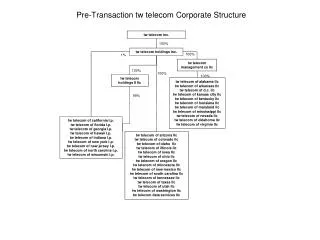 Pre-Transaction tw telecom Corporate Structure
