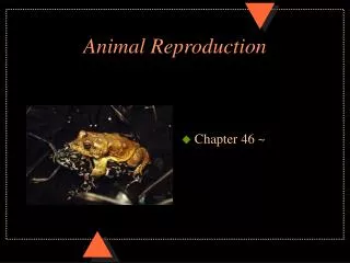 Animal Reproduction