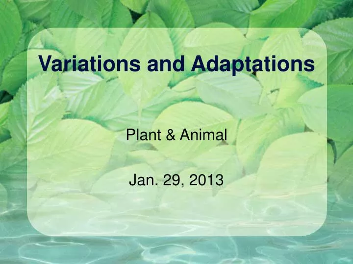 variations and adaptations