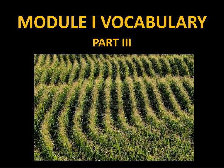 module i vocabulary