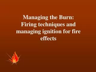 Managing the Burn: Firing techniques and managing ignition for fire effects