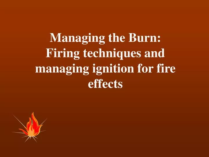 managing the burn firing techniques and managing ignition for fire effects