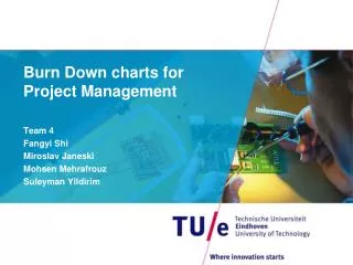 Burn D own charts for Project Management