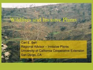 Wildfires and Invasive Plants
