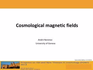 Cosmological magnetic fields